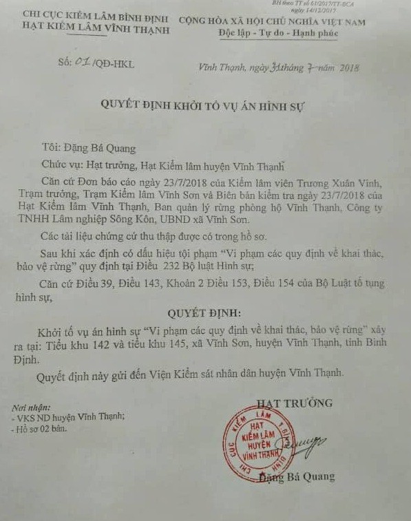 Khởi tố vụ ph&aacute; rừng cổ thụ ở B&igrave;nh Định - Ảnh 1.