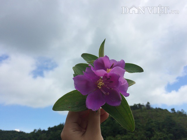 Kh&aacute;m ph&aacute; vẻ đẹp hoang sơ tr&ecirc;n đảo tiền ti&ecirc;u Vĩnh Thực - Ảnh 6.