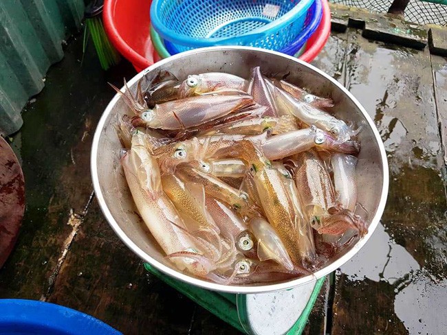 H&agrave; Tĩnh n&iacute;u ch&acirc;n du kh&aacute;ch m&ugrave;a mực nhảy - Ảnh 4.