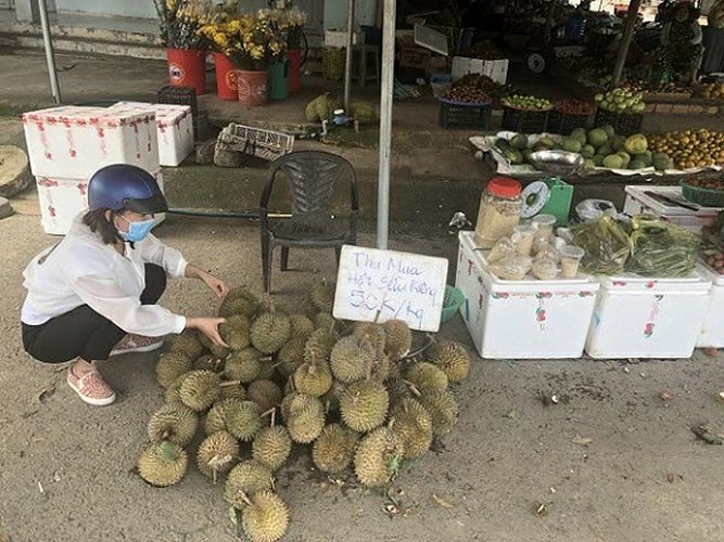 Hạt sầu ri&ecirc;ng gi&aacute; cao hơn quả: Nghi thương l&aacute;i giở tr&ograve;? - Ảnh 2.