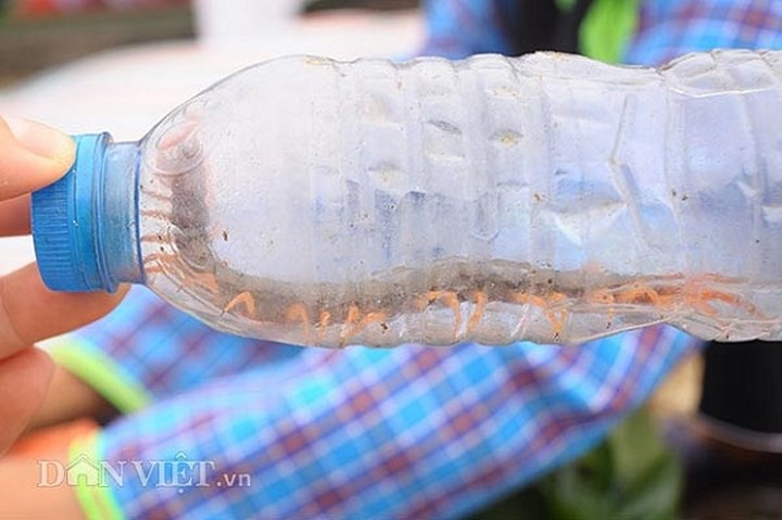 Độc đáo chợ phiên vùng cao Mẫu Sơn - Ảnh 13.