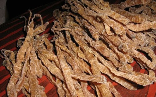 Món hải sản đắt hơn vàng 24k ở Quảng Ninh - Ảnh 3.
