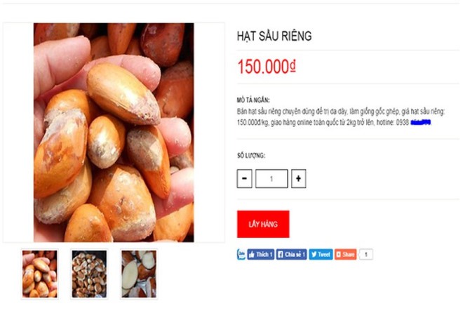Hạt sầu ri&ecirc;ng gi&aacute; cao hơn quả: Nghi thương l&aacute;i giở tr&ograve;? - Ảnh 4.