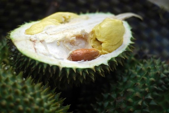 Hạt sầu ri&ecirc;ng gi&aacute; cao hơn quả: Nghi thương l&aacute;i giở tr&ograve;? - Ảnh 9.