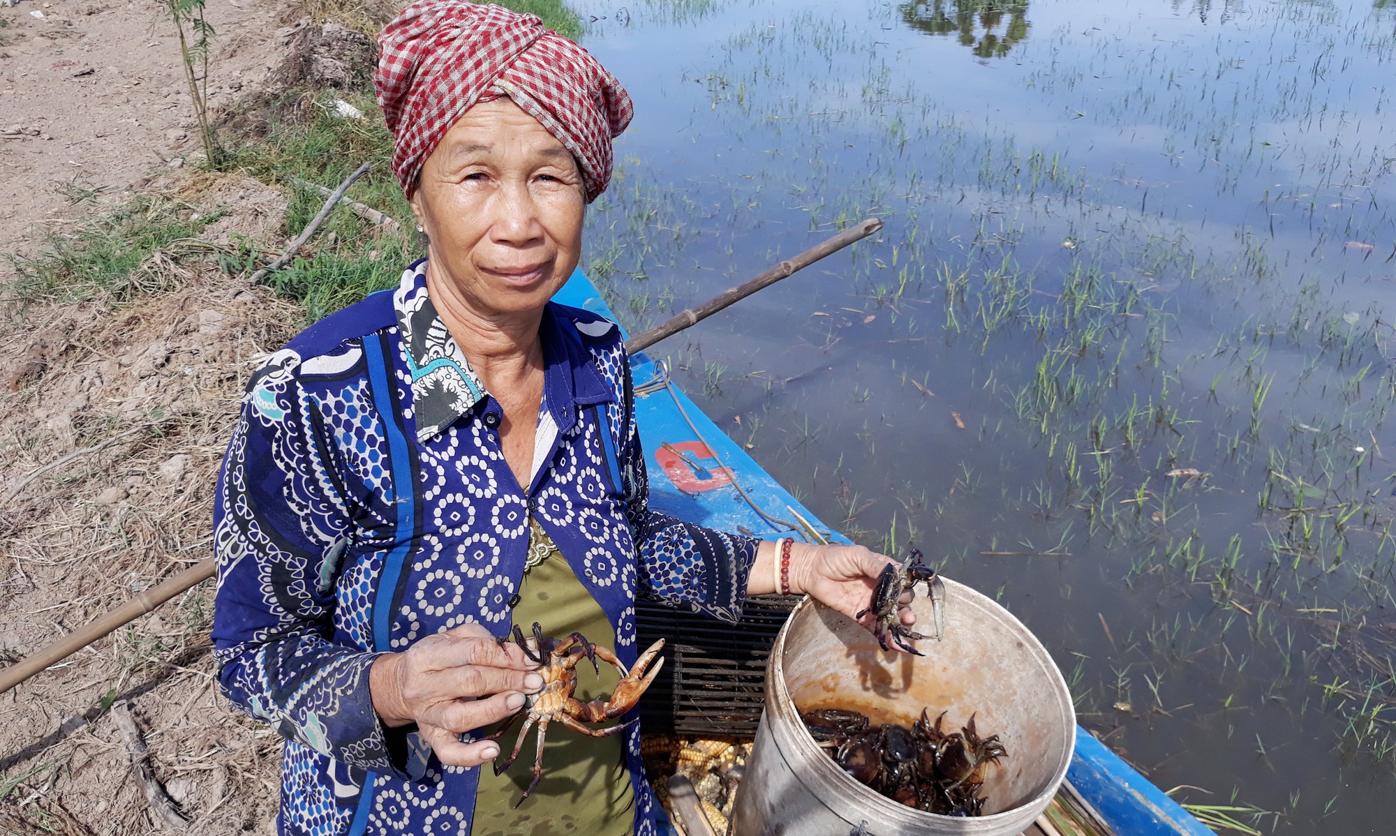 Dân nghèo miền Tây chạy đua với nước lũ - Ảnh 7.