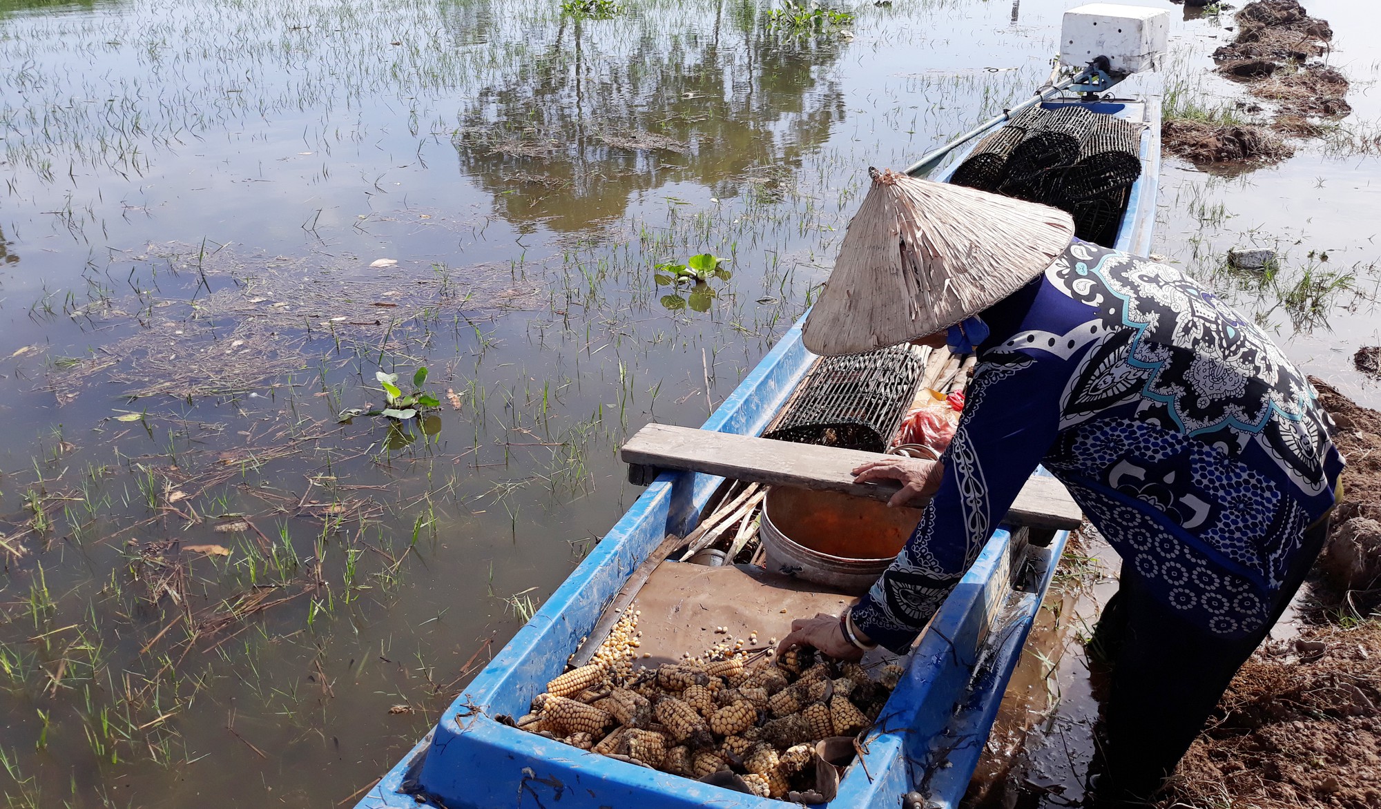 Dân nghèo miền Tây chạy đua với nước lũ - Ảnh 8.