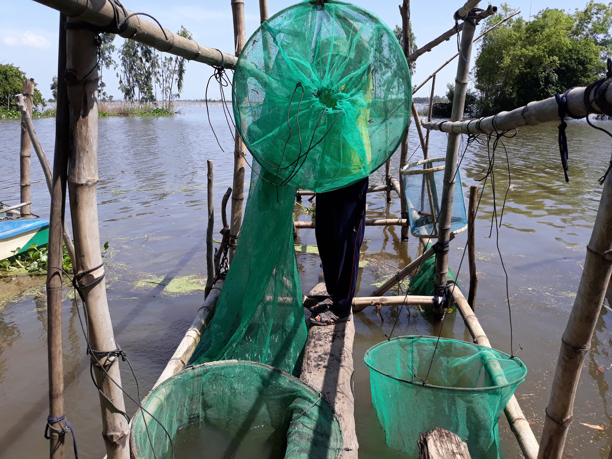 Dân nghèo miền Tây chạy đua với nước lũ - Ảnh 14.