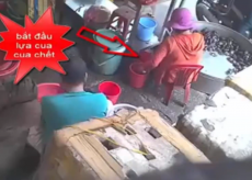 Chiêu trò tráo cua sống thành cua chết lừa người mua