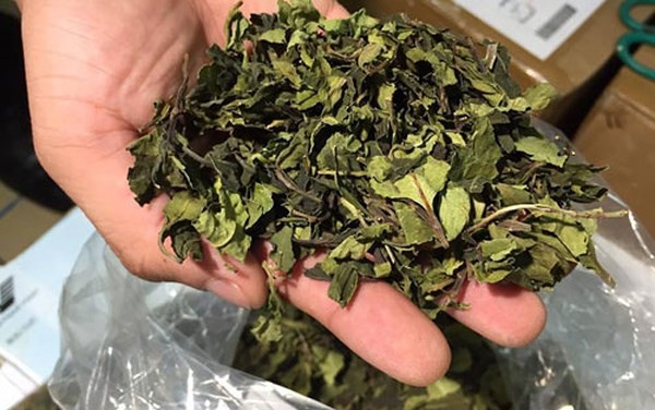 Hải quan Tân Sơn Nhất "vịn" gần 2 kg thảo mộc nghi ma túy