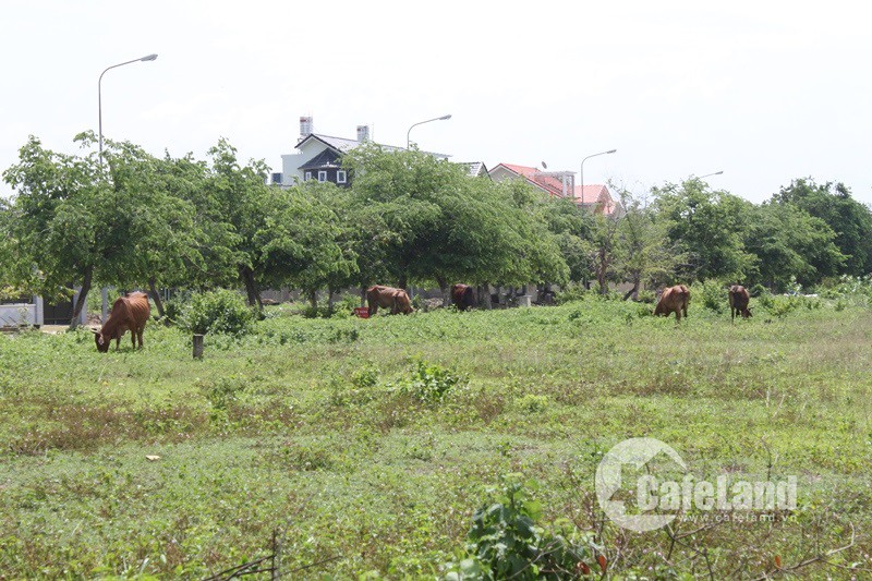 Đ&ocirc; thị vệ tinh: Vinh quang hay &ldquo;mồ ch&ocirc;n&rdquo; doanh nghiệp bất động sản? - Ảnh 6.