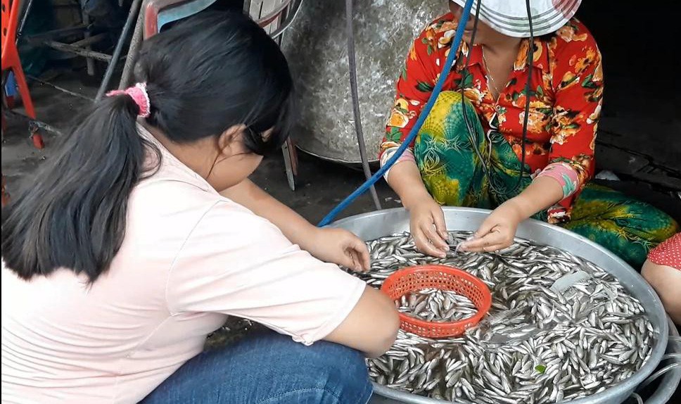 Mùa lũ đẹp về sớm, dân miền Tây bội thu tôm, cá - Ảnh 5.