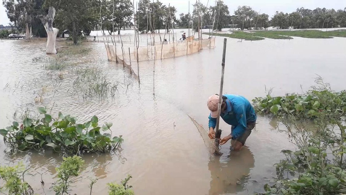 Mùa lũ đẹp về sớm, dân miền Tây bội thu tôm, cá - Ảnh 10.