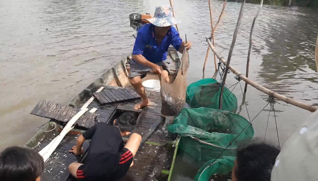 Mùa lũ đẹp về sớm, dân miền Tây bội thu tôm, cá - Ảnh 2.