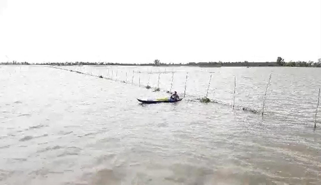 Mùa lũ đẹp về sớm, dân miền Tây bội thu tôm, cá - Ảnh 9.