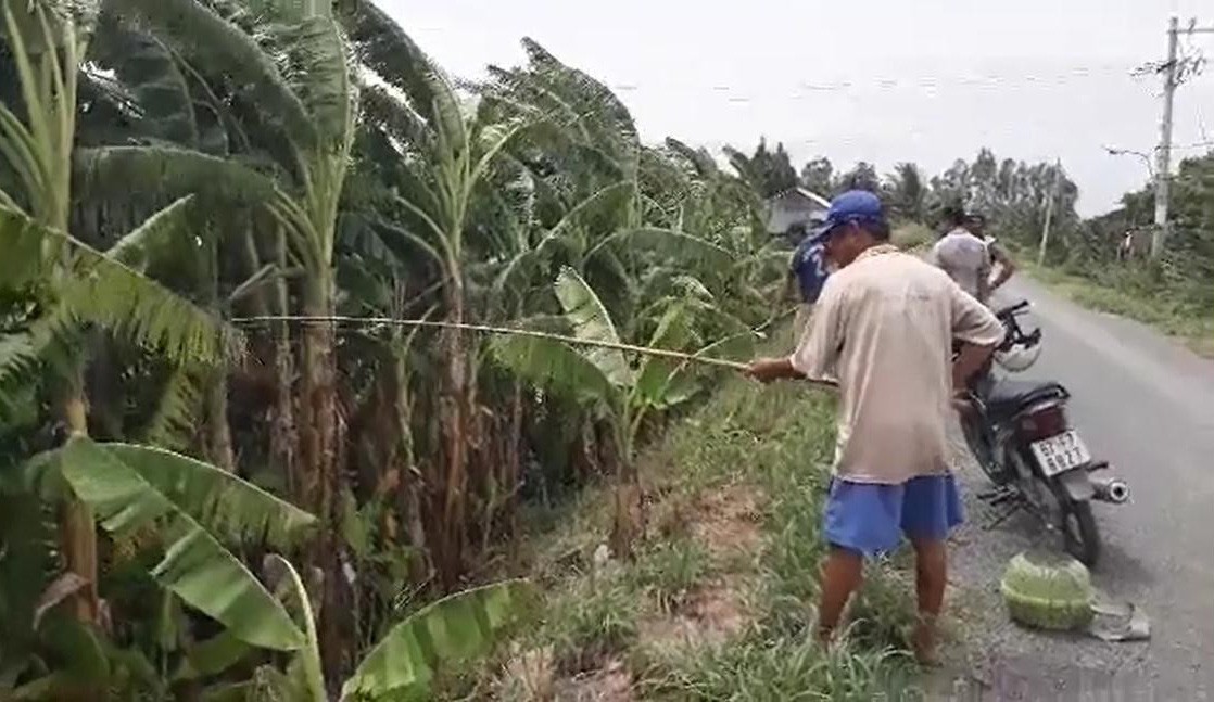 Mùa lũ đẹp về sớm, dân miền Tây bội thu tôm, cá - Ảnh 12.