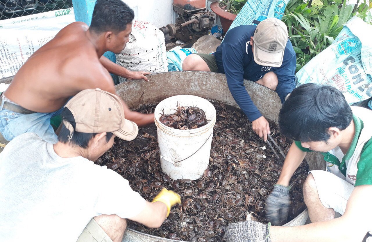 Mùa lũ đẹp về sớm, dân miền Tây bội thu tôm, cá - Ảnh 6.