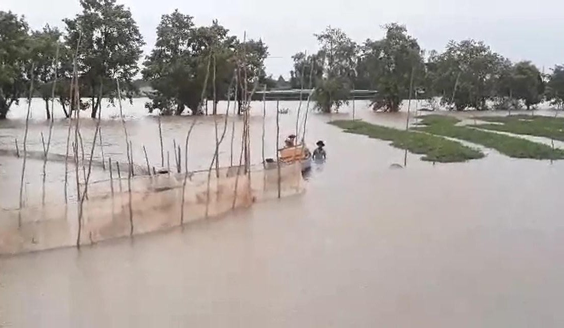 Mùa lũ đẹp về sớm, dân miền Tây bội thu tôm, cá - Ảnh 11.