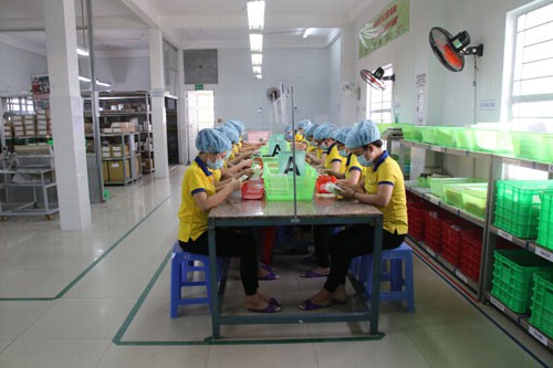 Kết nối tham gia chuỗi giá trị