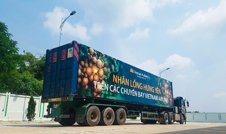 Nhãn lồng Hưng Yên lên khoang thương gia - Ảnh 3.