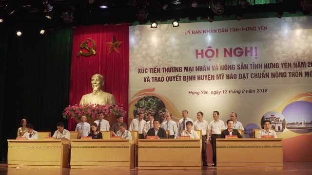 Nhãn lồng Hưng Yên lên khoang thương gia - Ảnh 2.