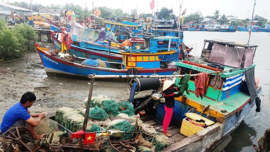 TP HCM sẵn sàng di dời dân nếu có bão