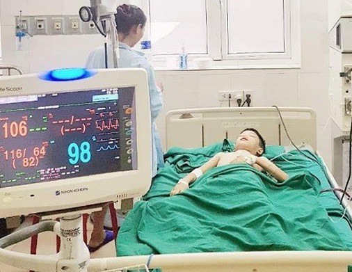 Vô tình đụng tổ ong vò vẽ, bé trai 11 tuổi nguy kịch