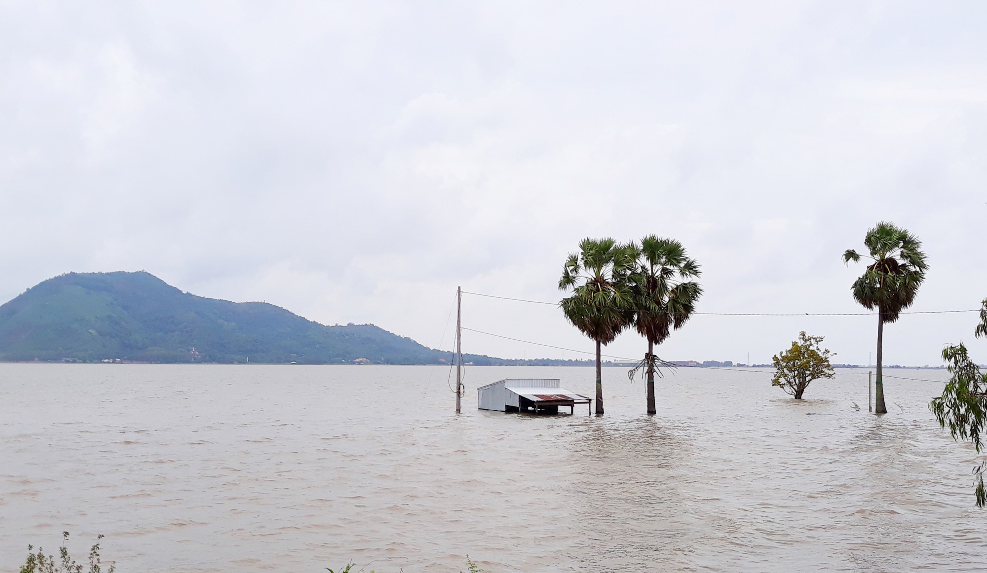 Vựa rau củ lớn nhất miền Tây bắt đầu chạy lũ