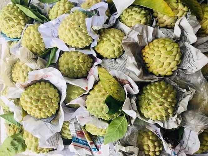 Hàng 'thất sủng' bỗng thành của hiếm