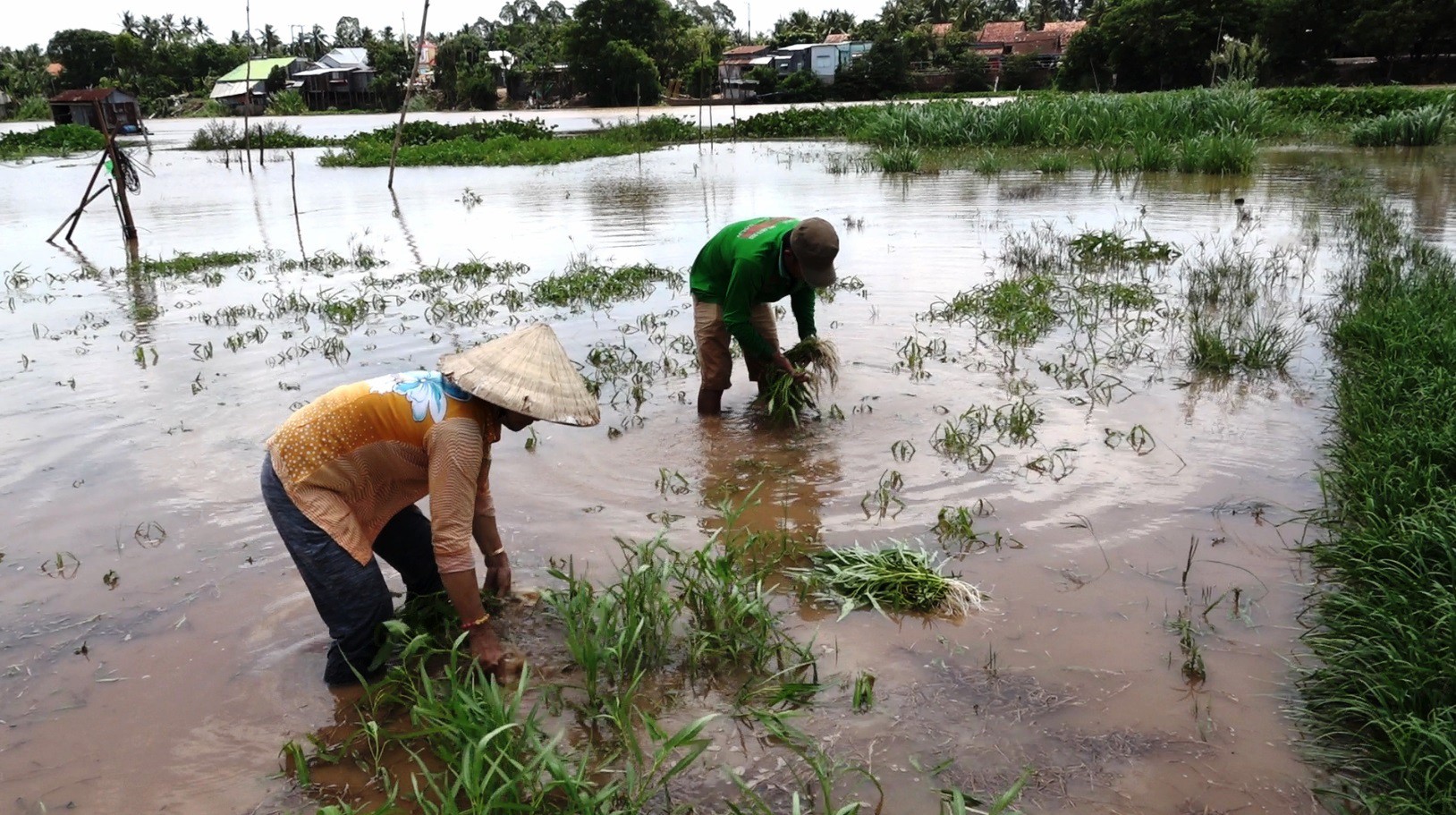 Dân đầu nguồn khẩn trương tìm cách “né” lũ lớn - Ảnh 7.