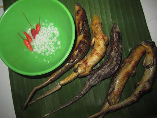 Hết hồn với đặc sản &ldquo;rắn 4 ch&acirc;n&rdquo; - Ảnh 1.