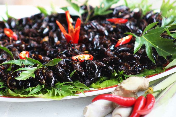 Dế x&agrave;o sả ớt - m&oacute;n ăn n&iacute;u ch&acirc;n du kh&aacute;ch ở L&acirc;m Đồng - Ảnh 6.