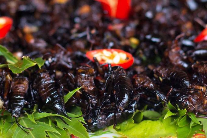 Dế x&agrave;o sả ớt - m&oacute;n ăn n&iacute;u ch&acirc;n du kh&aacute;ch ở L&acirc;m Đồng - Ảnh 8.