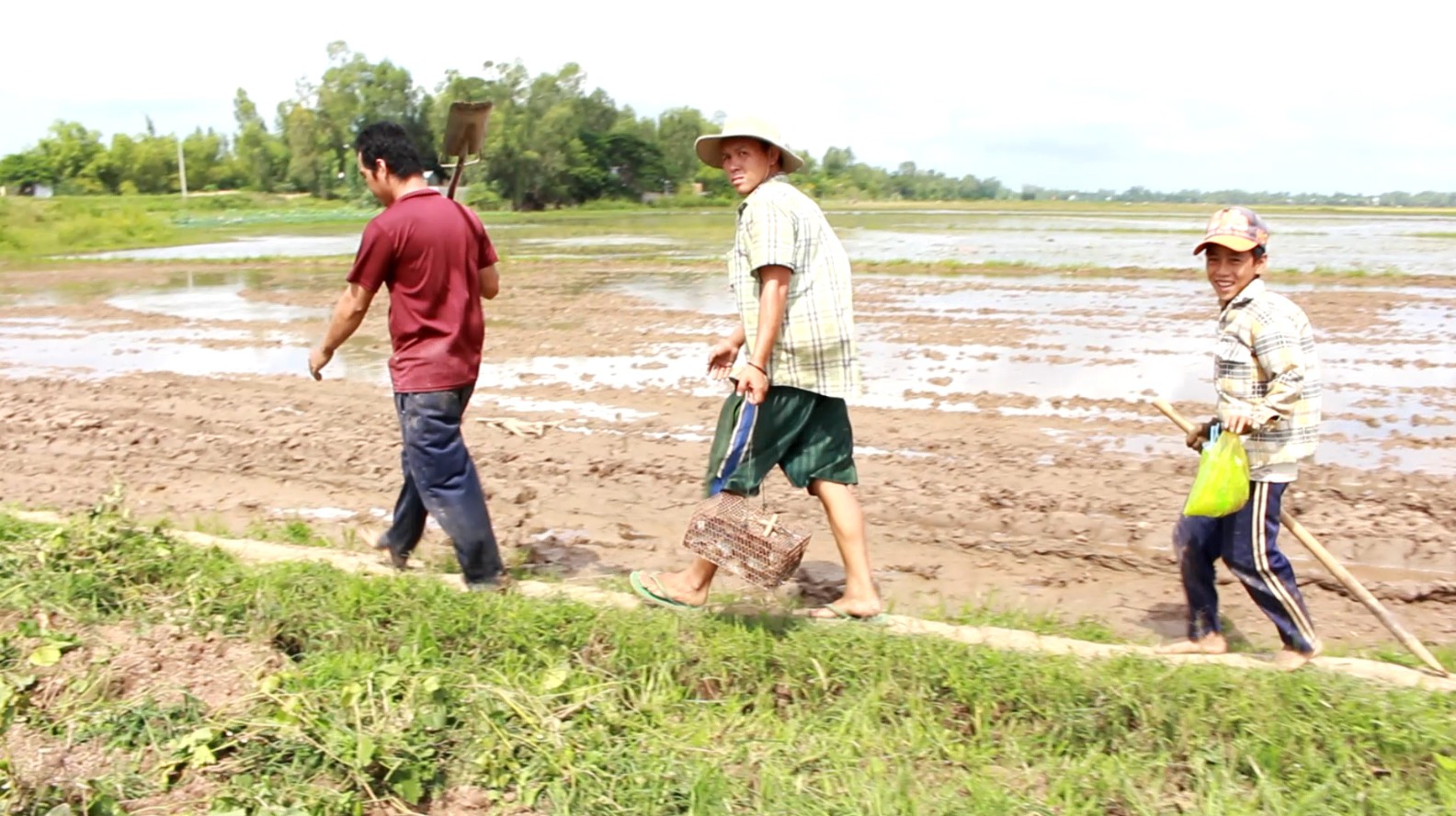 Về miền Tây mùa lũ, xem thợ săn chuột đồng “hốt bạc” - Ảnh 1.