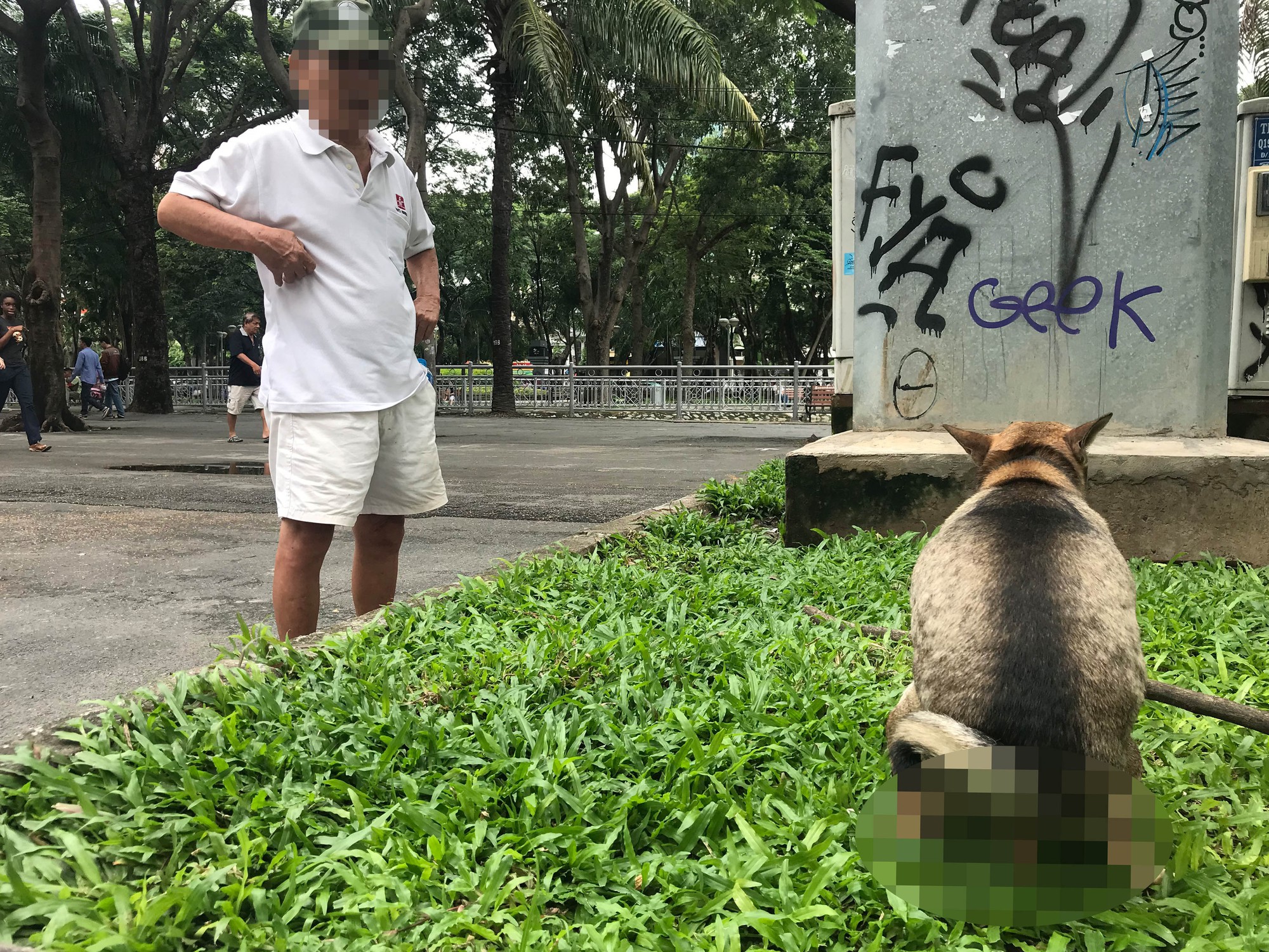 Chó thả rông, đâu phải chuyện nhỏ!