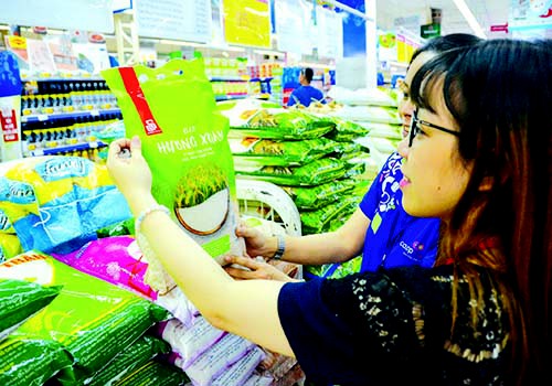 Gạo sạch ra thị trường