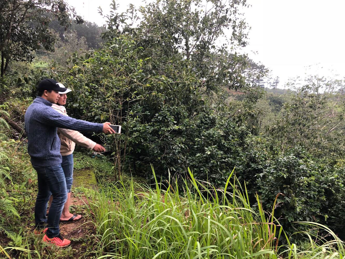 Săn lùng đất làm homestay