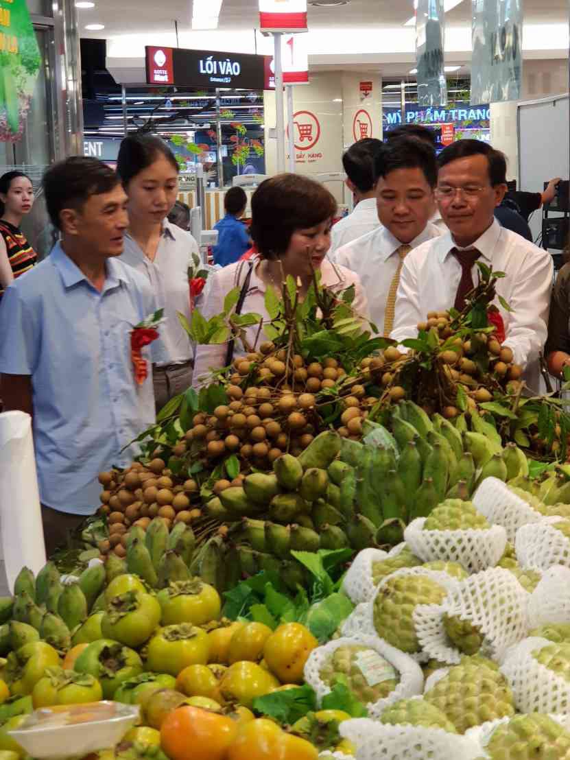 Trái cây miền Bắc dồn dập vào siêu thị - Ảnh 1.