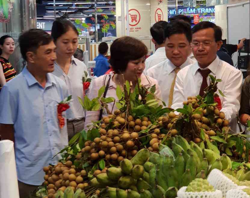 Trái cây miền Bắc dồn dập vào siêu thị