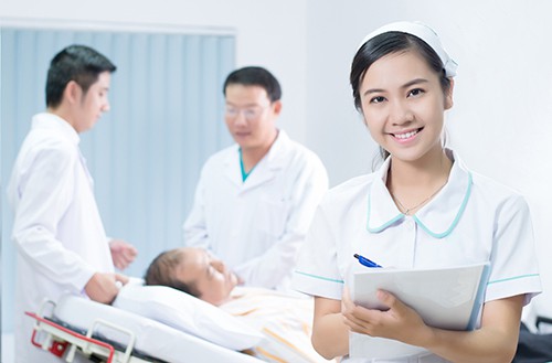 Cơ hội nghề nghiệp hấp dẫn cho điều dưỡng Việt Nam tại Đức - Ảnh 2.