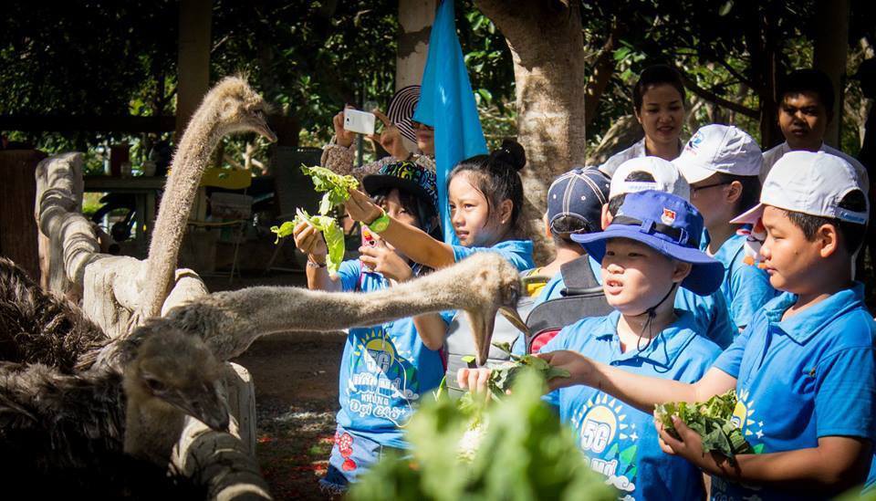 Học mà chơi, chơi mà học tại Fun Farm Hồ Mây