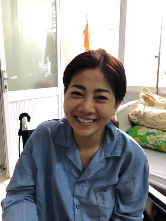 Đàm Vĩnh Hưng, Lệ Quyên tổ chức đêm nhạc hỗ trợ Mai Phương