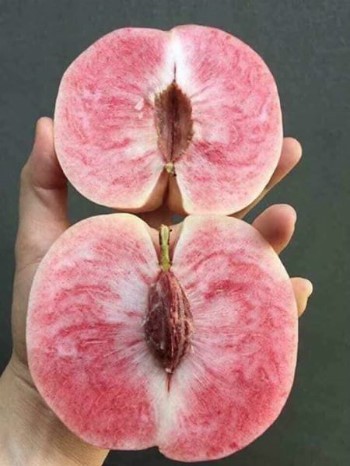Đ&agrave;o &ldquo;T&ocirc;n Ngộ Kh&ocirc;ng&rdquo; x&aacute;ch tay gi&aacute; cao gấp 5 lần h&agrave;ng chợ - Ảnh 1.