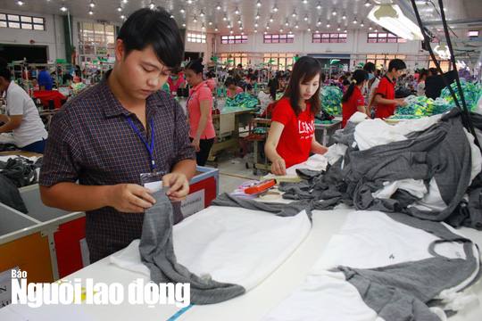 Trách  nhiệm bồi thường cho NLĐ bị tai nạn lao động