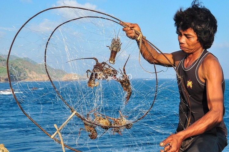 C&aacute;p treo vượt biển Timang: Yếu b&oacute;ng v&iacute;a n&ecirc;n tr&aacute;nh xa! - Ảnh 5.