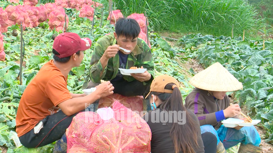 VIDEO: N&ocirc;ng sản Trung Quốc nh&aacute;i Đ&agrave; Lạt: Giết chết n&ocirc;ng d&acirc;n - Ảnh 4.