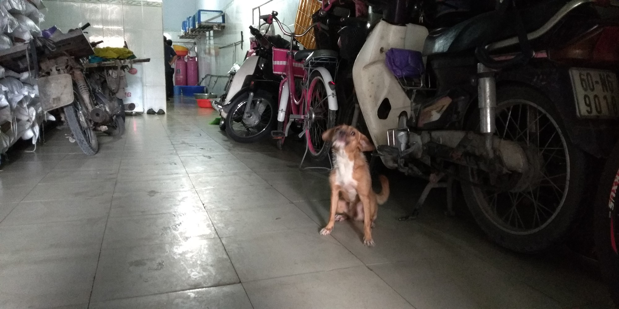 Tạm ngưng hoạt động c&ocirc;ng ty suất ăn c&ocirc;ng nghiệp nhếch nh&aacute;c - Ảnh 2.