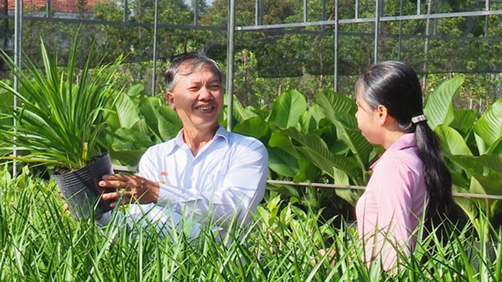 Nông dân Sa Đéc thuần hóa nhiều giống cây kiểng độc, lạ - Ảnh 3.