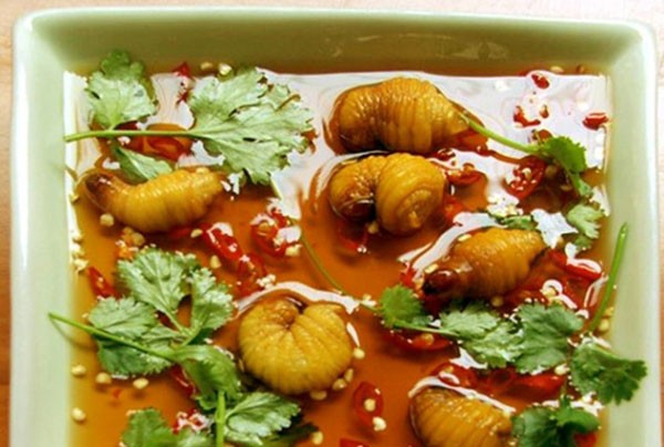 Đặc sản không thể "dị" hơn