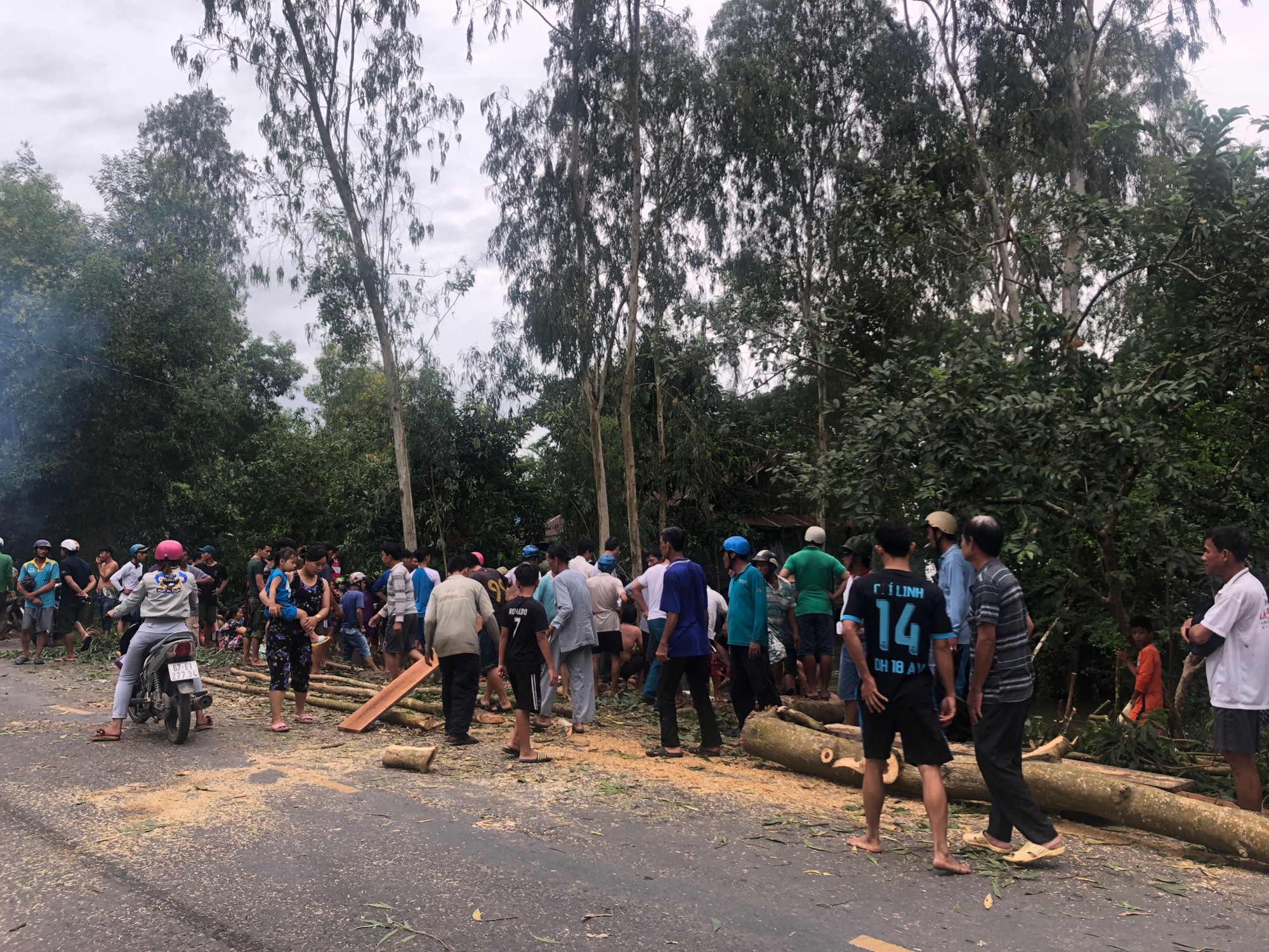 Khẩn trương cứu h&agrave;ng trăm ha l&uacute;a do vỡ cống - Ảnh 3.