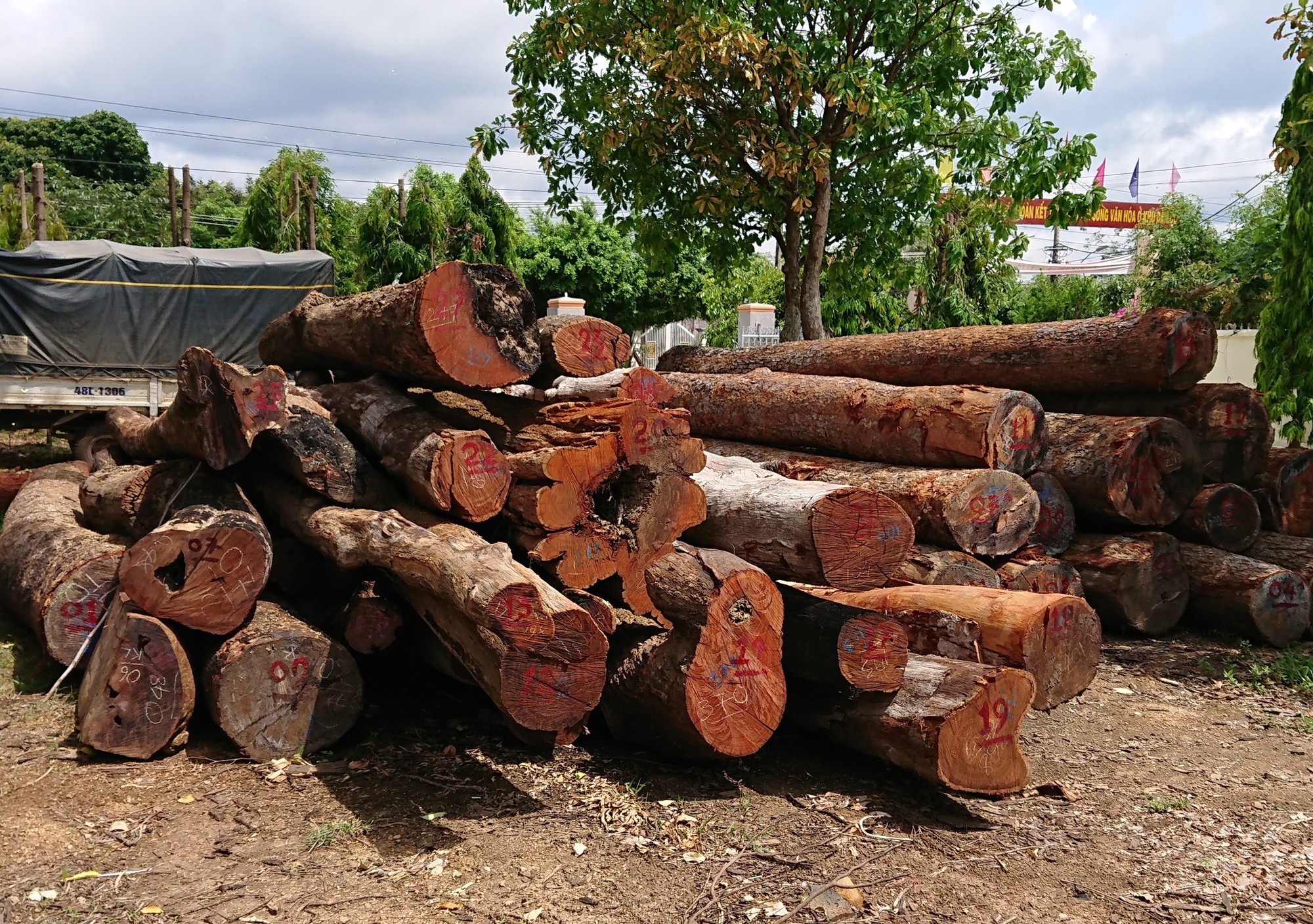 Khởi tố thêm lãnh đạo kiểm lâm tiếp tay trùm gỗ lậu Phượng "râu"